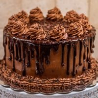 Untitled1-min Untitled1-min