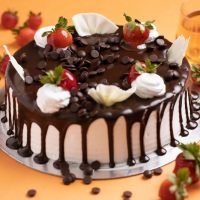 Untitled1-min Untitled1-min